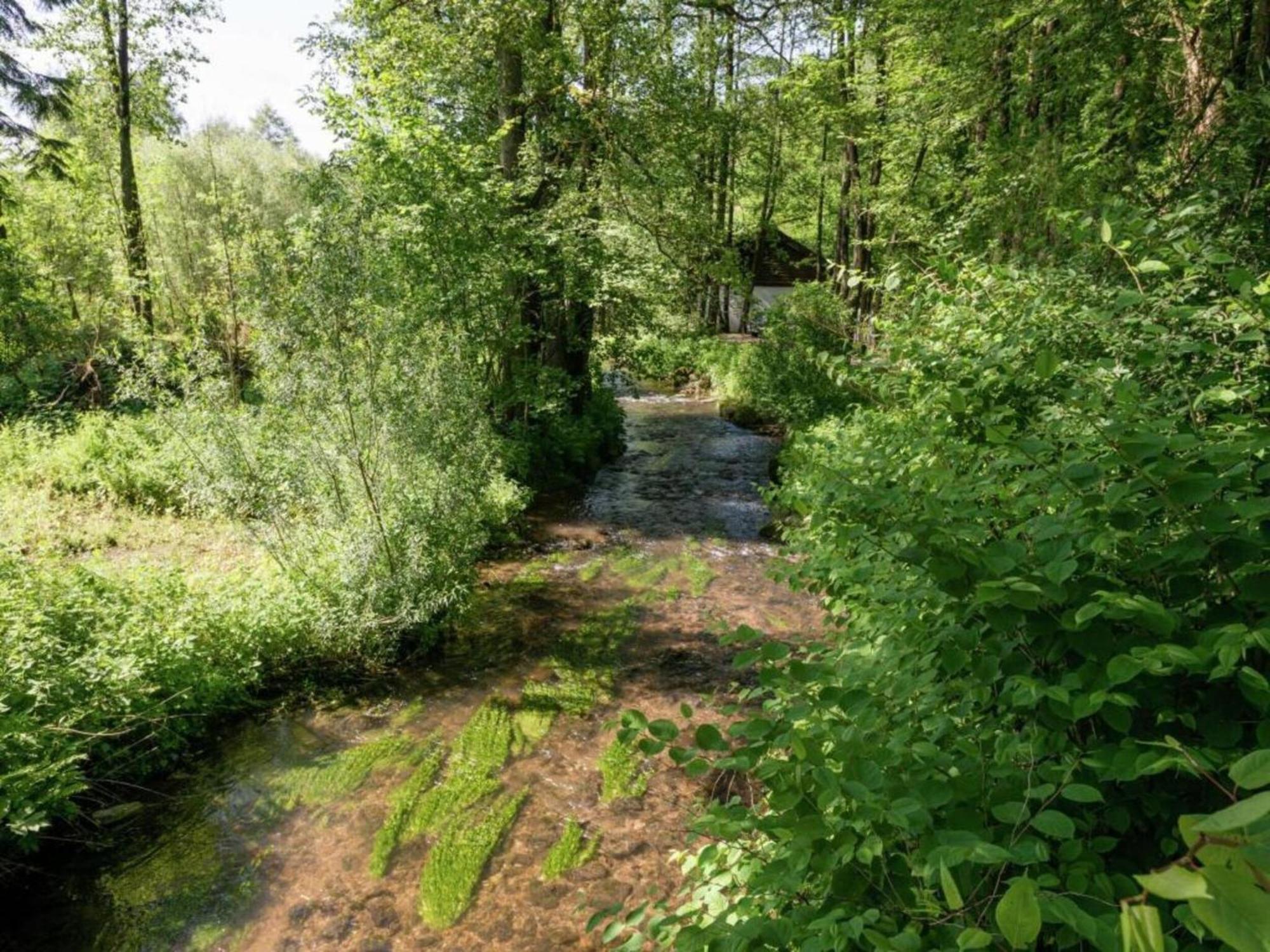 Cozy Cottage In Malmedy With Large Garden Экстерьер фото